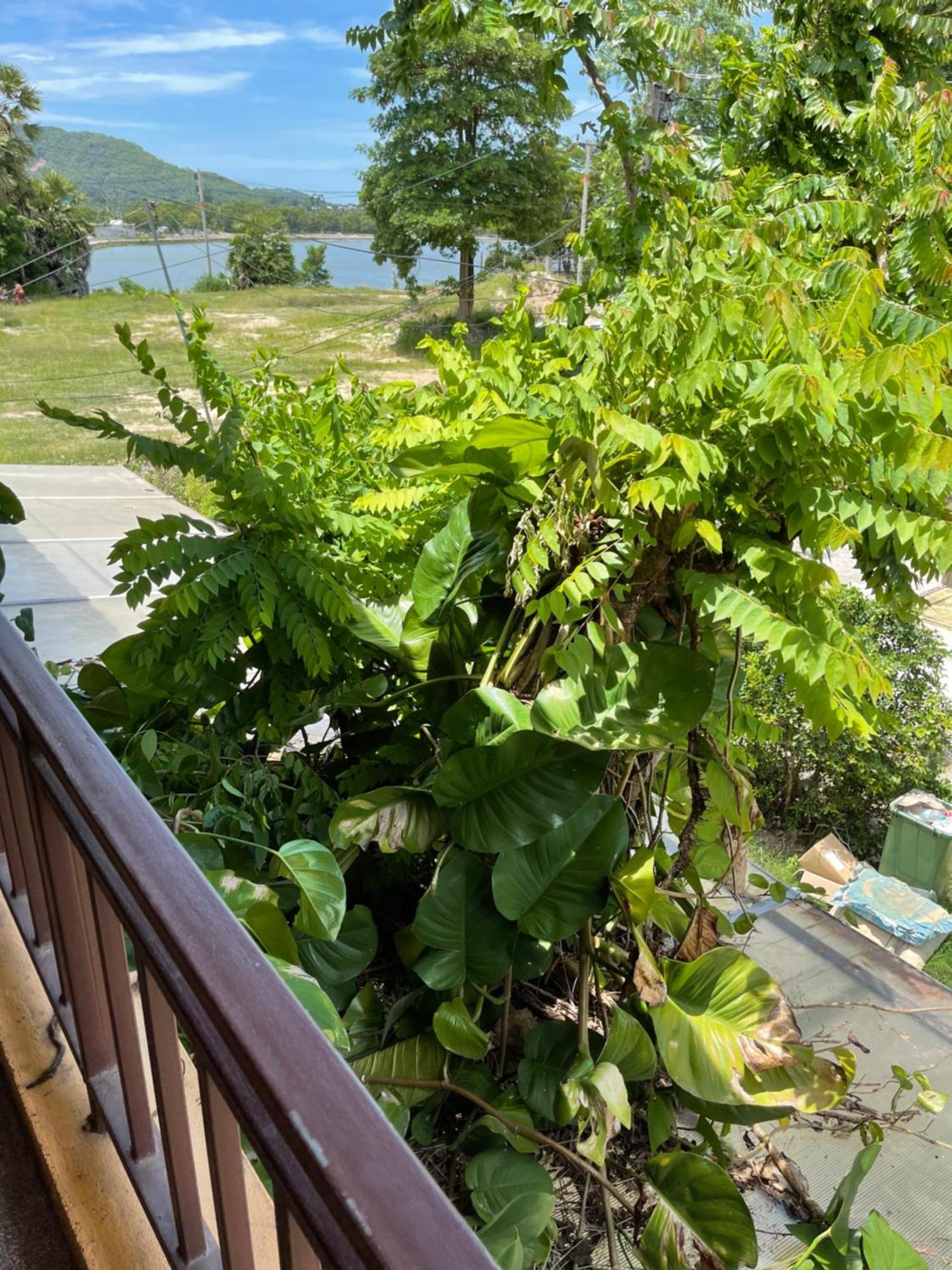 Dikachaya Hostel Chaweng Dış mekan fotoğraf